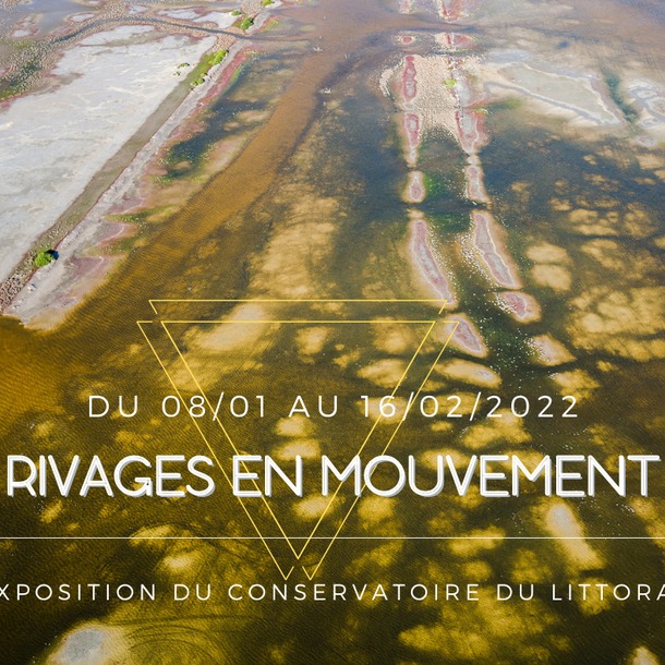 Exposition :